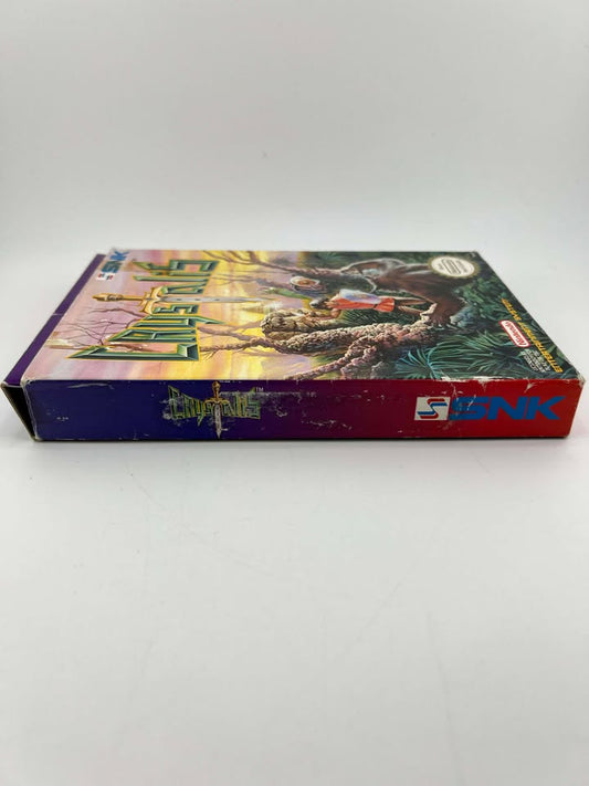 Crystalis Nintendo NES