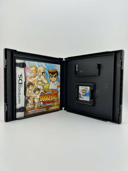 Super Dodgeball Brawlers Nintendo DS