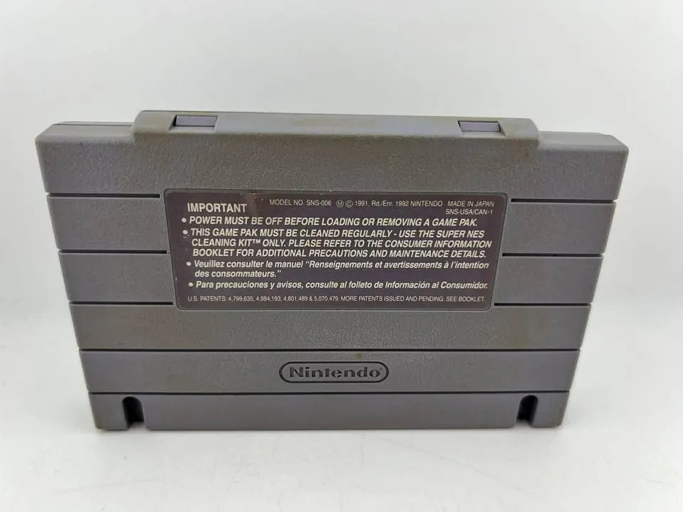 Dungeon Master Super Nintendo Snes