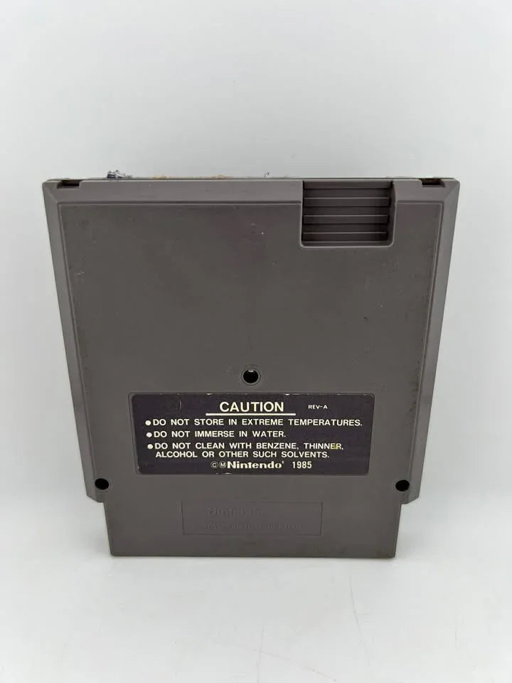 Ironsword: Wizards and Warriors II 2 Nintendo NES