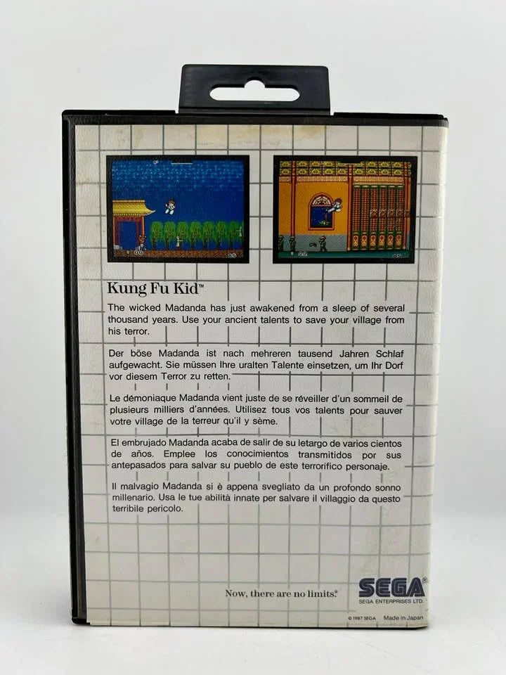 Kung Fu Kid SEGA MASTER SYSTEM SMS