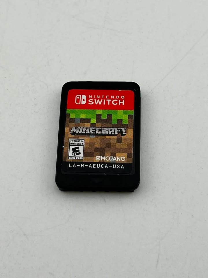 Minecraft Nintendo Switch