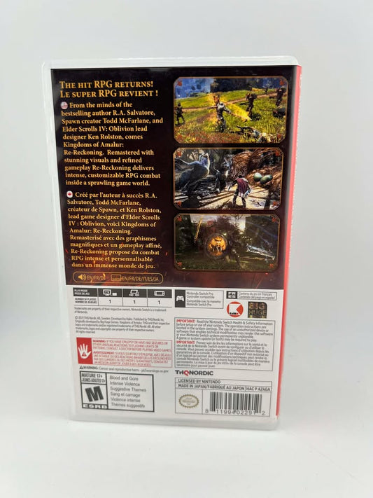 Kingdoms of Amalur: Re-Reckoning Nintendo Switch