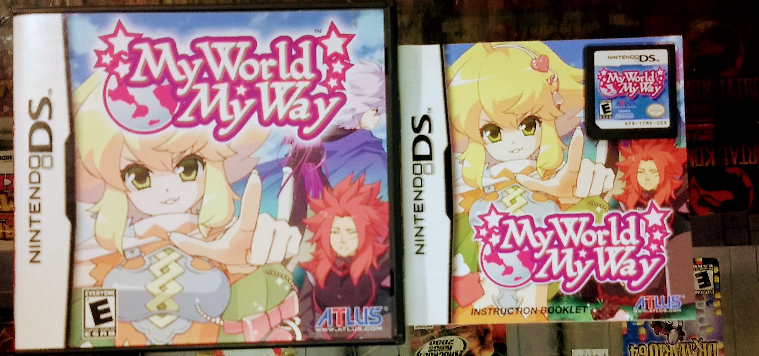 The My World, orders My Way for Nintendo DS