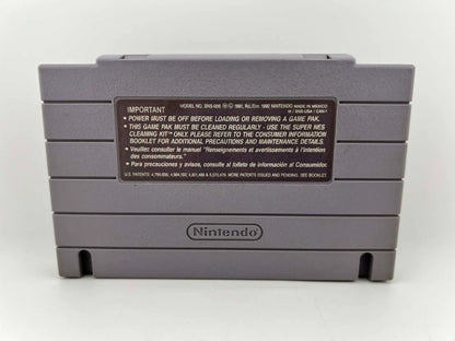 FRANTIC FLEA SUPER NINTENDO SNES