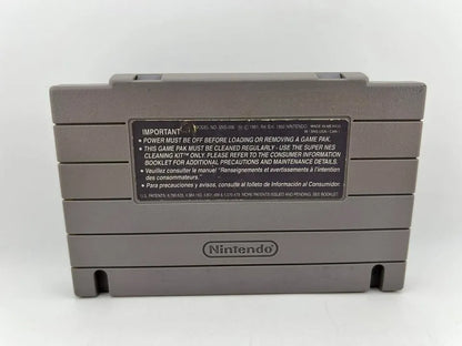 Brett Hull Hockey Super Nintendo Snes
