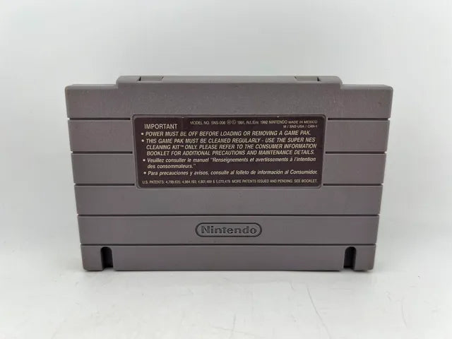 Donkey Kong Country 3 Super Nintendo Snes