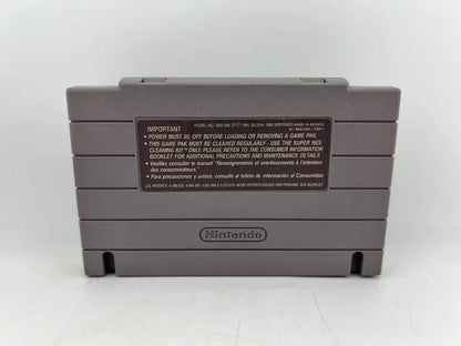 Donkey Kong Country 3 Super Nintendo Snes