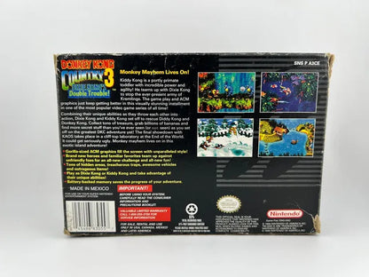 Donkey Kong Country 3 Super Nintendo Snes