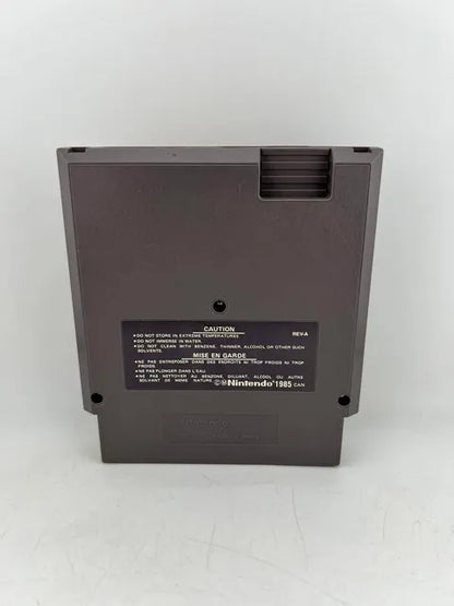 Faxanadu Version Can Nintendo NES