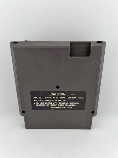 Ironsword: Wizards and Warriors II 2 Nintendo NES