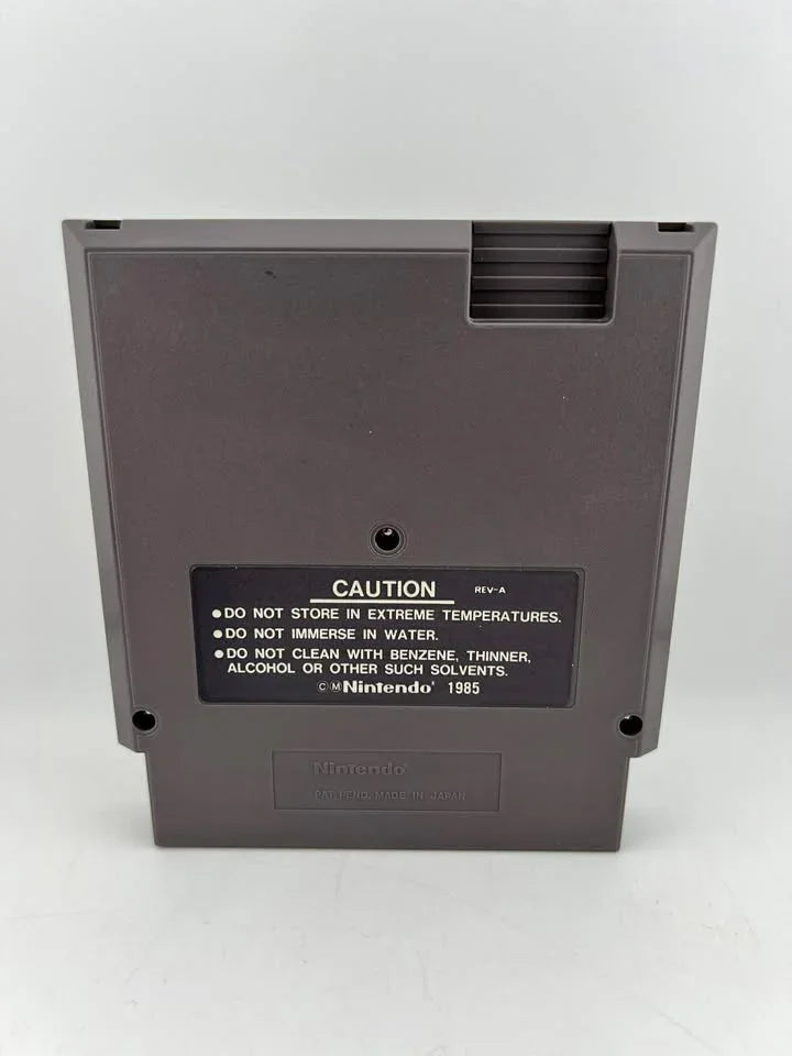Kings of the Beach Nintendo NES