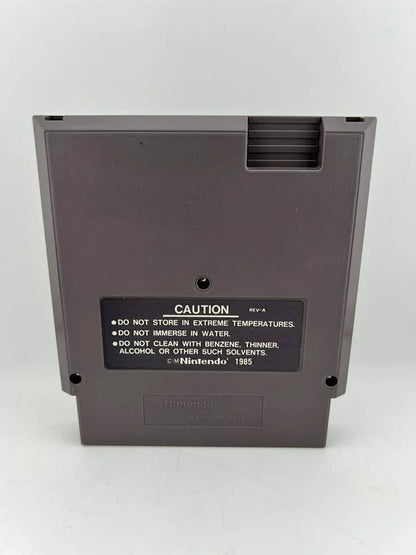 Kings of the Beach Nintendo NES