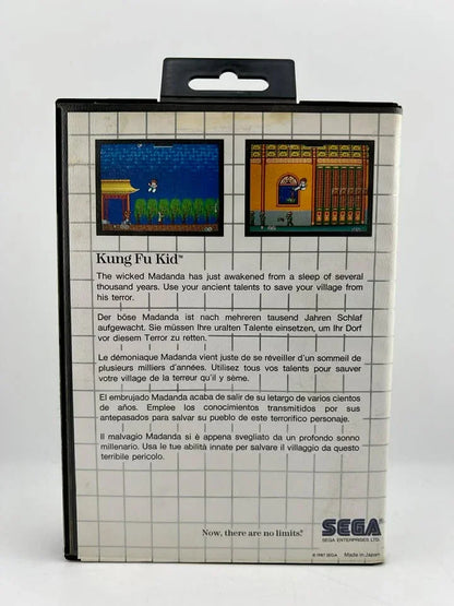 Kung Fu Kid SEGA MASTER SYSTEM SMS