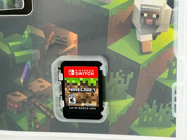 Minecraft Nintendo Switch