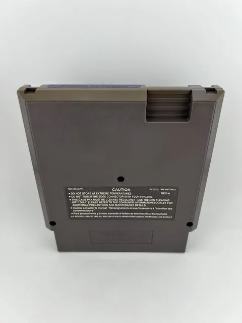 Prince of Persia Nintendo NES