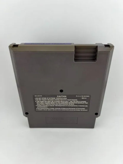 Prince of Persia Nintendo NES