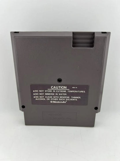 Wizards and Warriors Nintendo NES