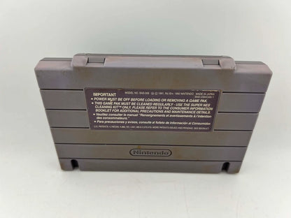 INTERNATIONAL TENNIS TOUR SUPER NINTENDO SNES
