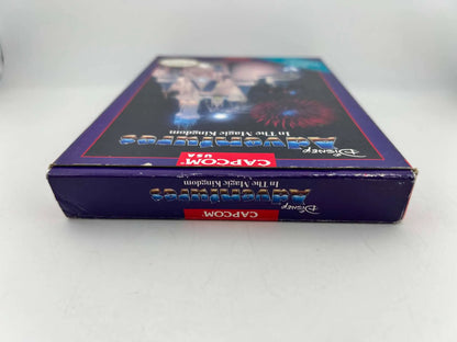 Adventures in the Magic Kingdom Nintendo NES
