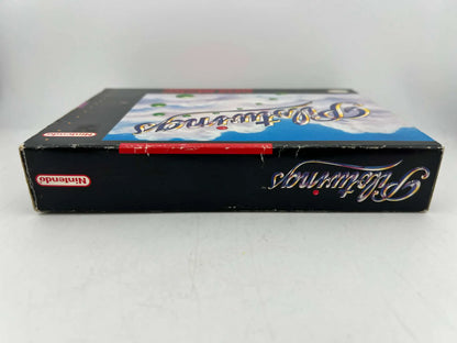Pilotwings Super Nintendo Snes