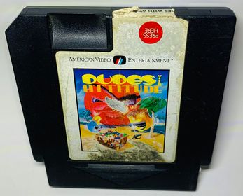 DUDES WITH ATTITUDE NINTENDO NES - jeux video game-x